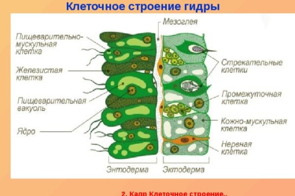 Зайти на кракен