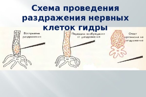 Кракен официальный