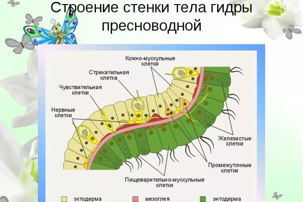 Официальная тор ссылка кракен сайта